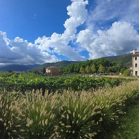 Resort Casa Valdo *